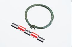 Foto von Bronzering (NHMW-PRAE-026453)